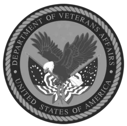 The Department of Veterans Affairs